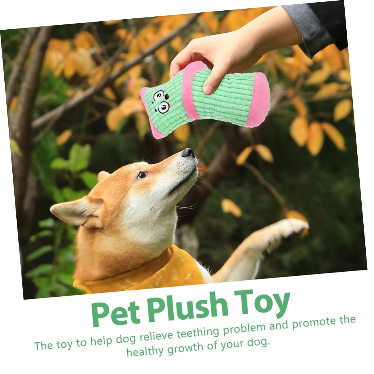 BESPORTBLE 10stücke Plüsch Spielzeug Für Kleine Hunde Quietschendes Kauspielzeug Sockenform Für Welpen Und Zahnpflege Langlebig Und Farbenfroh -grün