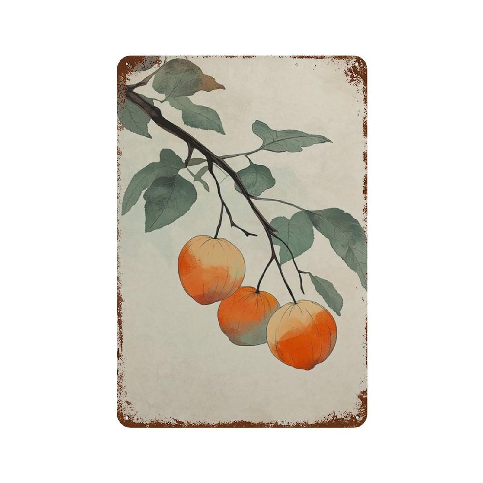 xiaoxiaoshen Persimmon Fruit Botanical Japanese Style Minimal Nature Orange Wall Decor Art Metal Tin Poster Modern Home Decor Art Home Bar Shop Decorations Vintage Sign 30x20cm