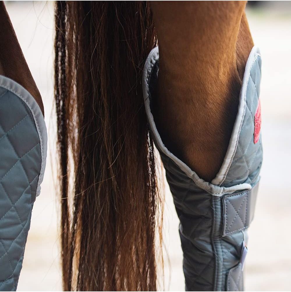 Hind & Hock Magnetic Chaps – Equilibrium