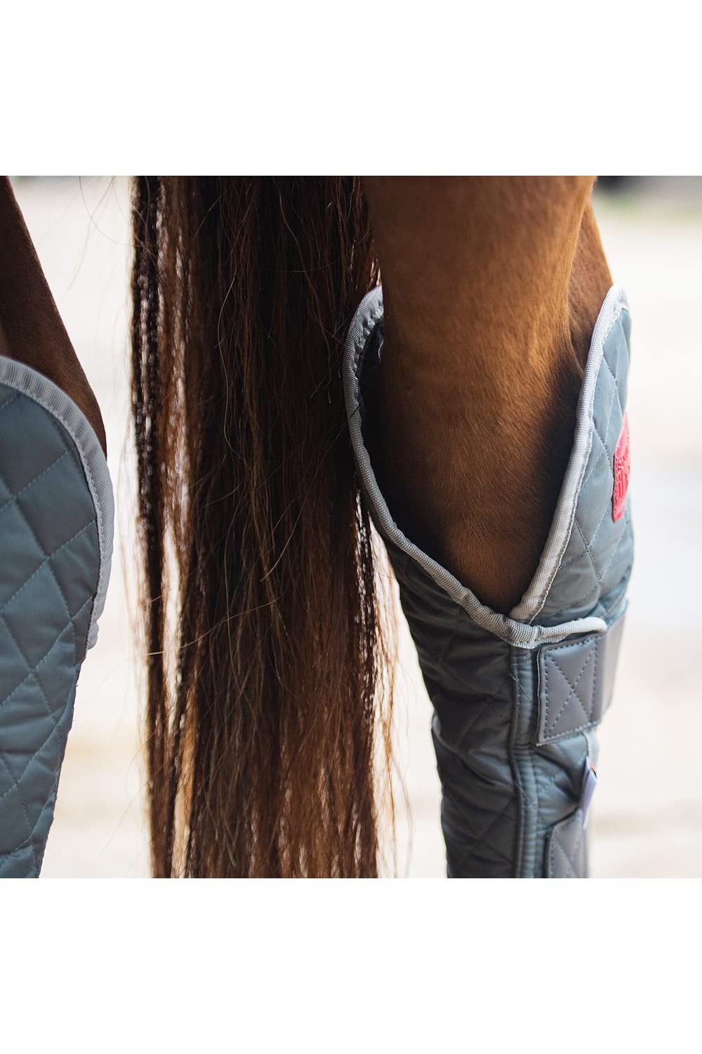 Equilibrium - Vendas para Caballos Hind & Hock Diseño Magnético (XL) (Gris)