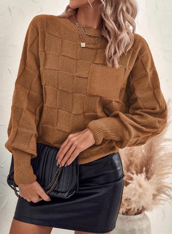 SHEWIN Womens Sweaters 2025 Casual Crewneck Long Sleeve Lightweight Knit Pullover Sweater Tops4