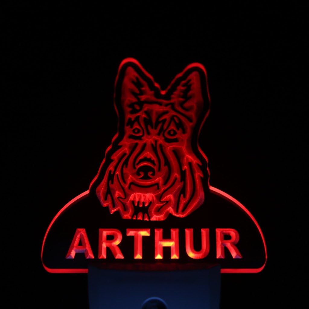 ADVPRO ws1088-tm Scottish Terrier Personalized Night Light Name Day/Night Sensor LED Sign