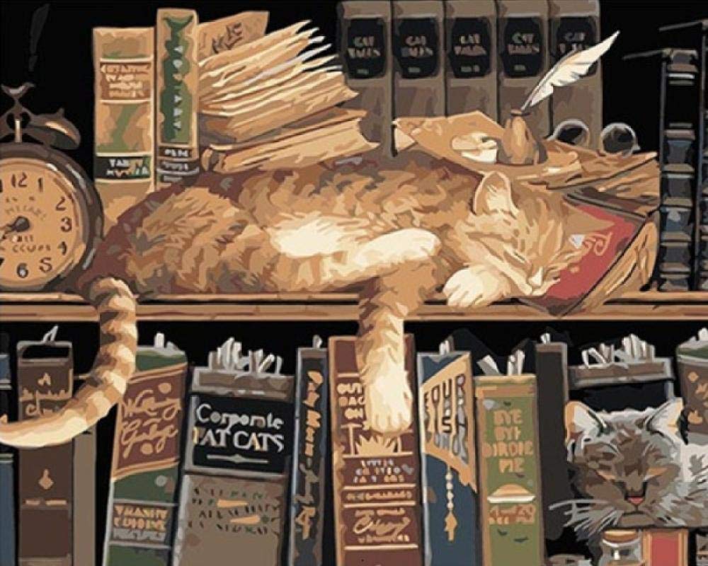 Peinture par numéros chat kit acrylique débutant pour peindre sans savoir dessiner