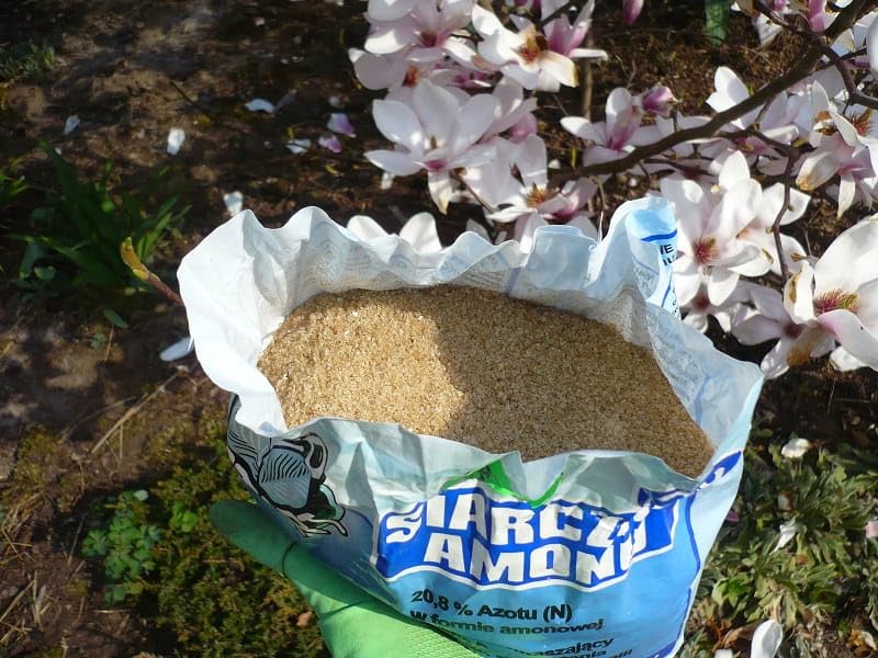 kirschlorbeeren düngen Kirschlorbeer Dünger von Flora Boost main image 1