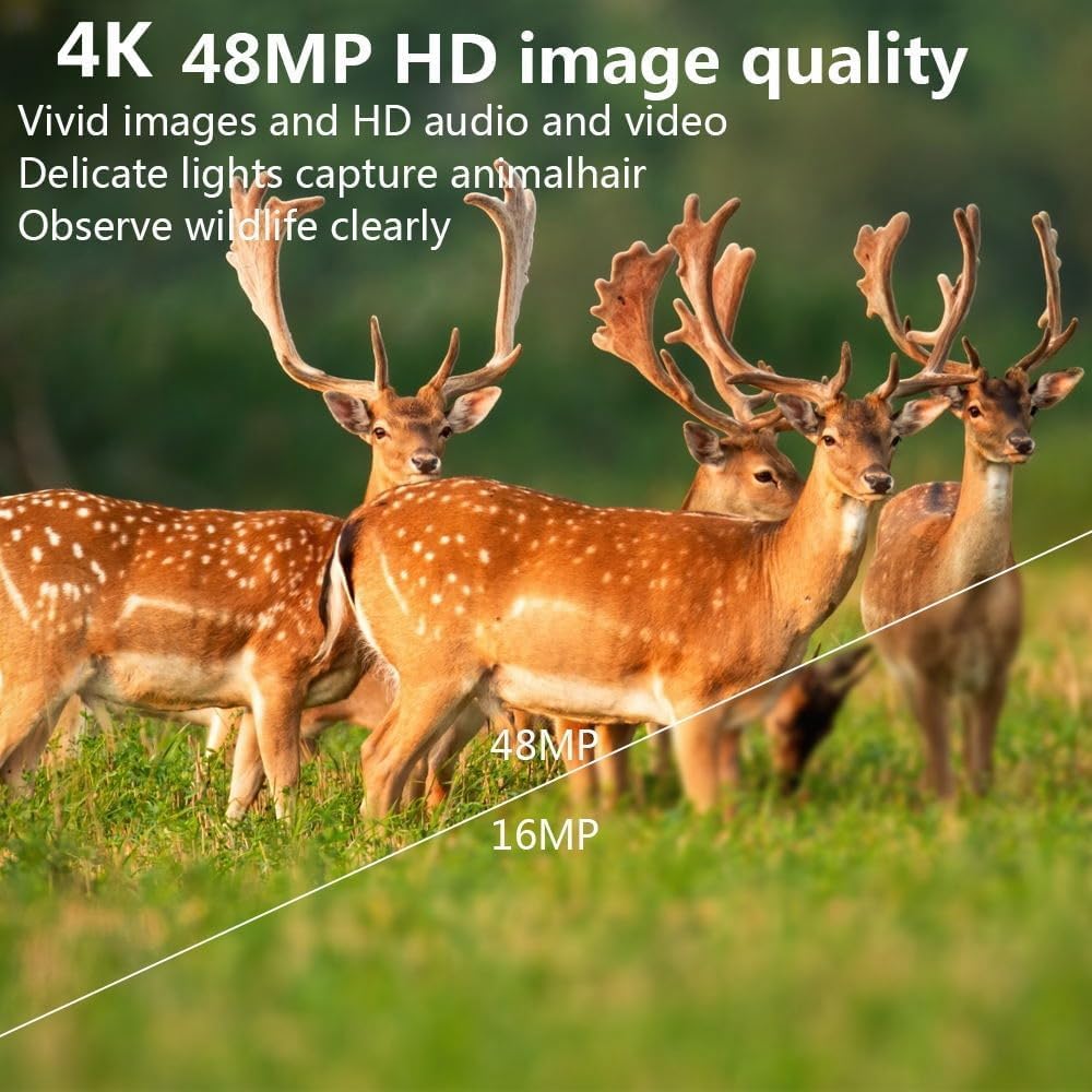 Wildlife - Cámara con sensor de movimiento, visión nocturna, WiFi con aplicación de transferencia móvil, 60 MP, 4K, visión nocturna 0,2 s, 940 nm, sin luz infrarroja, para exteriores