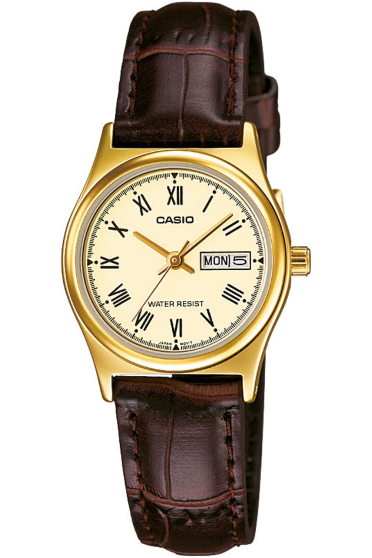 CasioWatch