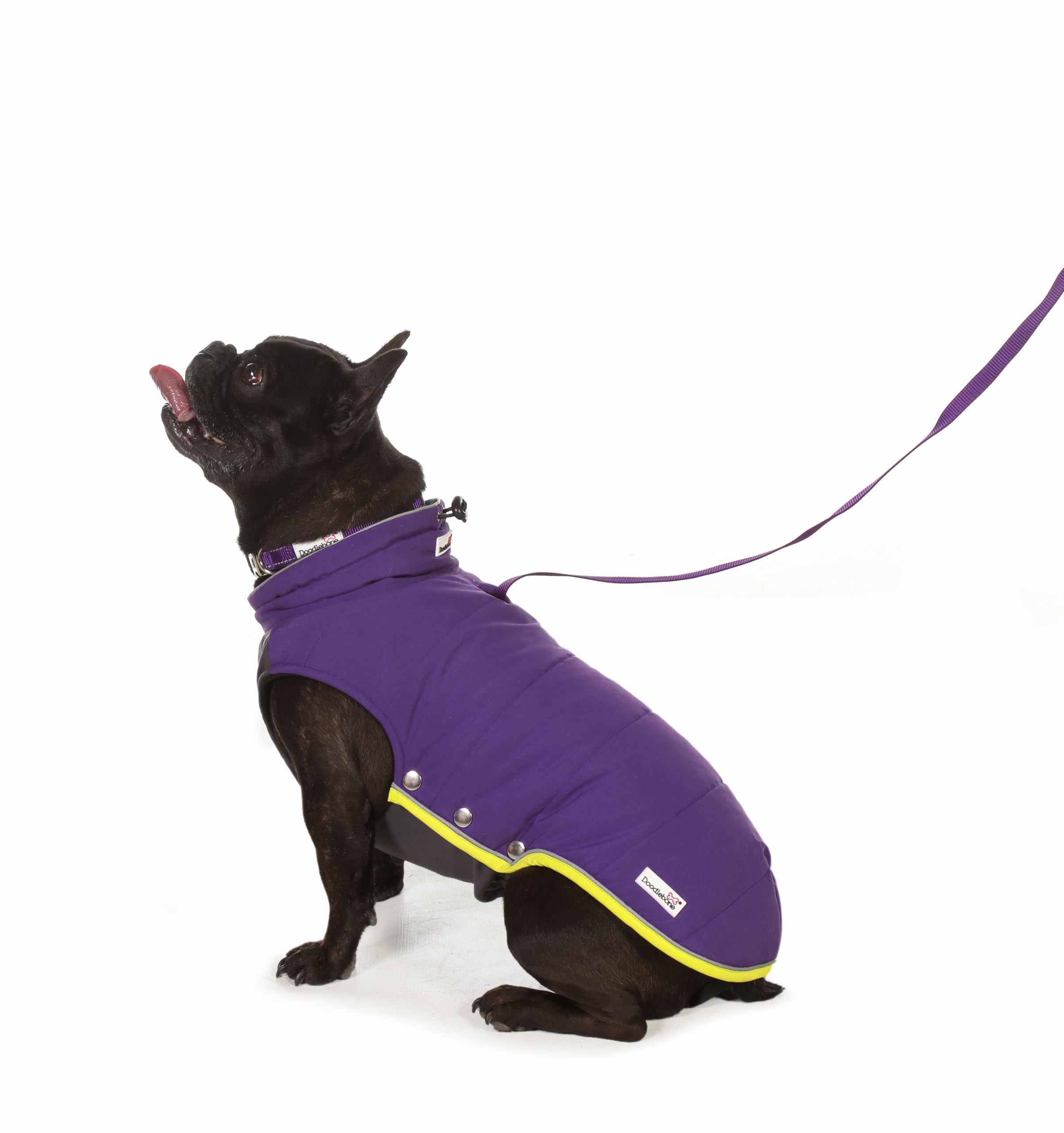 Doodlebone Doudoune pour chien Violet Taille 36-38