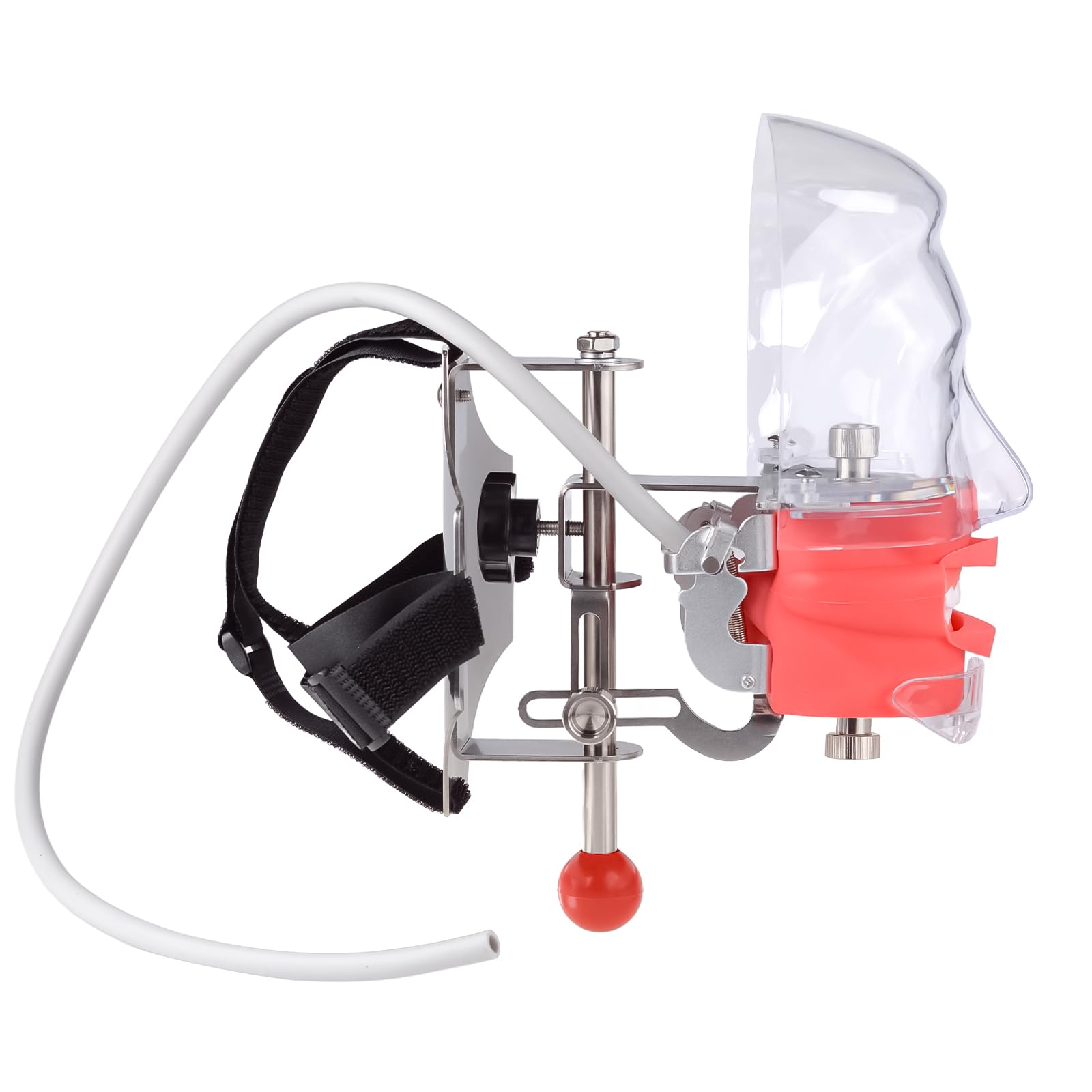 Cabeza de maniquí de simulador dental con 28 dientes extraíbles, modelo de cabeza fantasma para entrenamiento clínico, práctica de Typodont y laboratorios de simulación