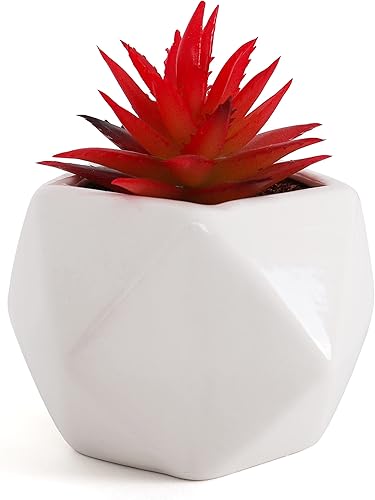 Bornbridge Suculenta artificial Suculenta falsa en maceta Suculenta sintética con maceta geométrica de cerámica Planta artificial en maceta (1