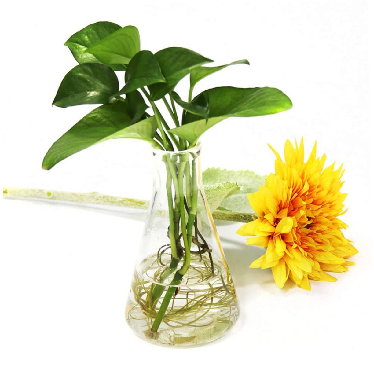 PLAFOPE Matraz Cónico de Vidrio Engrosado 5 Piezas para Laboratorio | Cuello Estrecho, Fondo Plano y Graduaciones Estándar, Área de Marcado Amplia, Capacidades 50ml a 1000ml