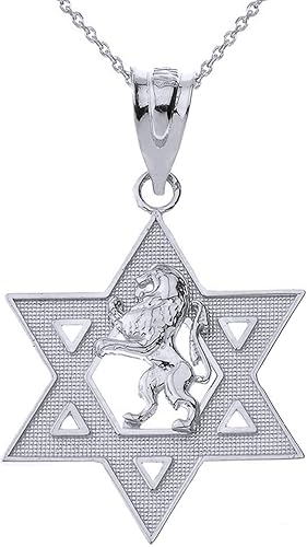 Claddagh Gold Collar con colgante hebreo de plata de ley 925 pulida, León de Israel, León de Judá, Magen David