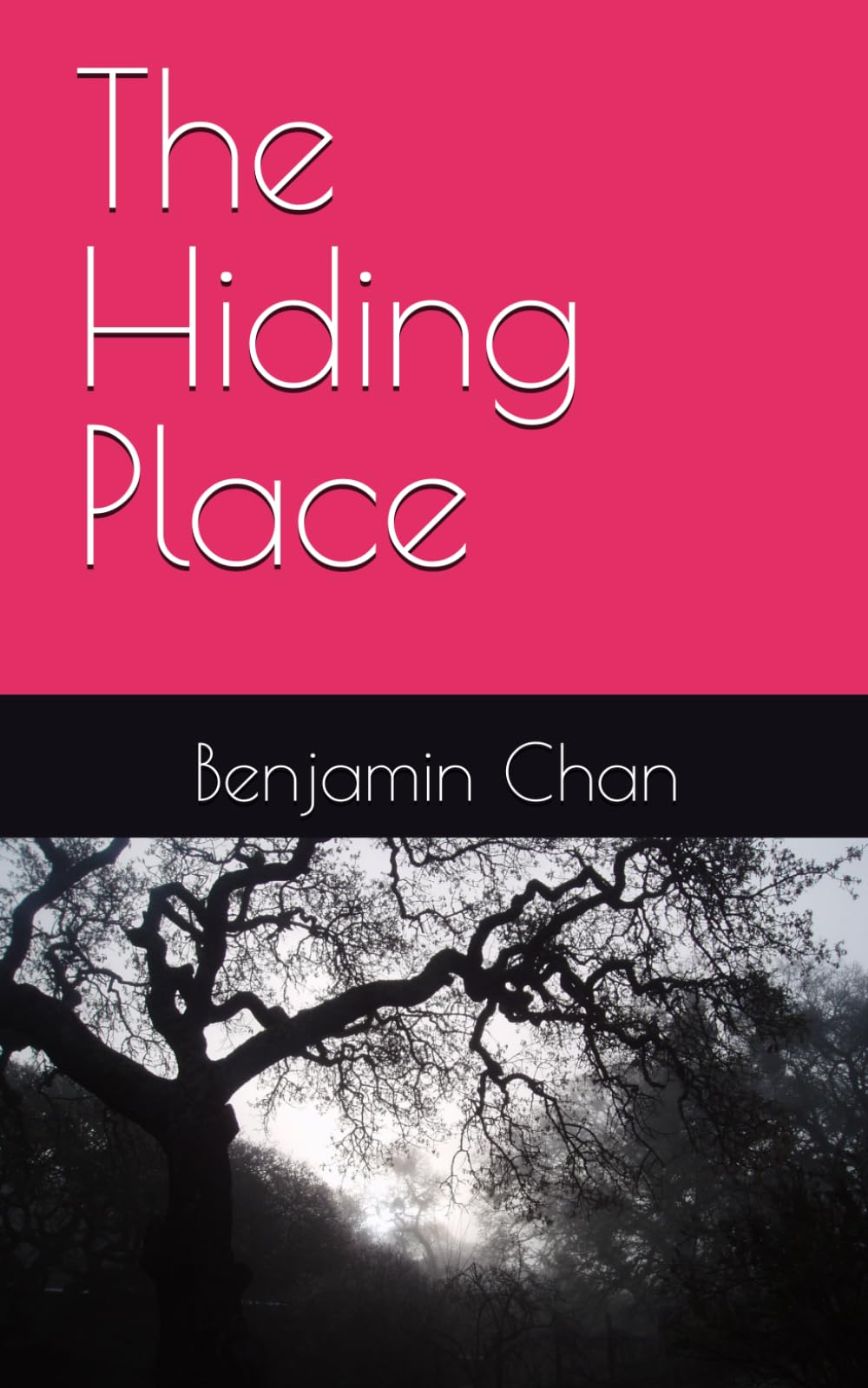 The Hiding Place