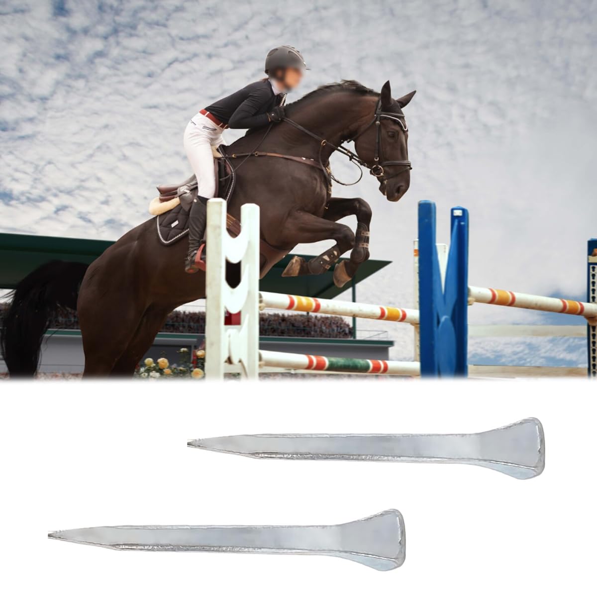 100 clavos para cascos de caballo E2 de 41 mm, de acero dulce, para carreras y deportes ecuestres.