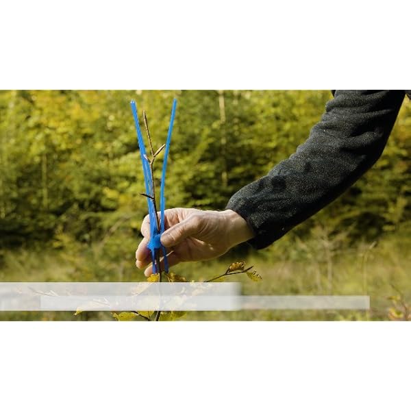 SignumatÂ® Verbissschutz fÃ¼r JungbÃ¤ume 09-100 Baumschutzmanschette, 100 StÃ¼ck, UV-bestÃ¤ndig, witterungsfest, wiederverwendbar â Schutz vor Wildverbiss, FegeschÃ¤den und VÃ¶geln (100 StÃ¼ck, Blau, Lange) – Bild 8