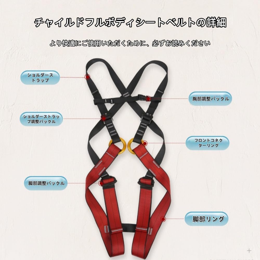 作者不詳 無落款 守護龍之図 絹本彩色画 軸先木