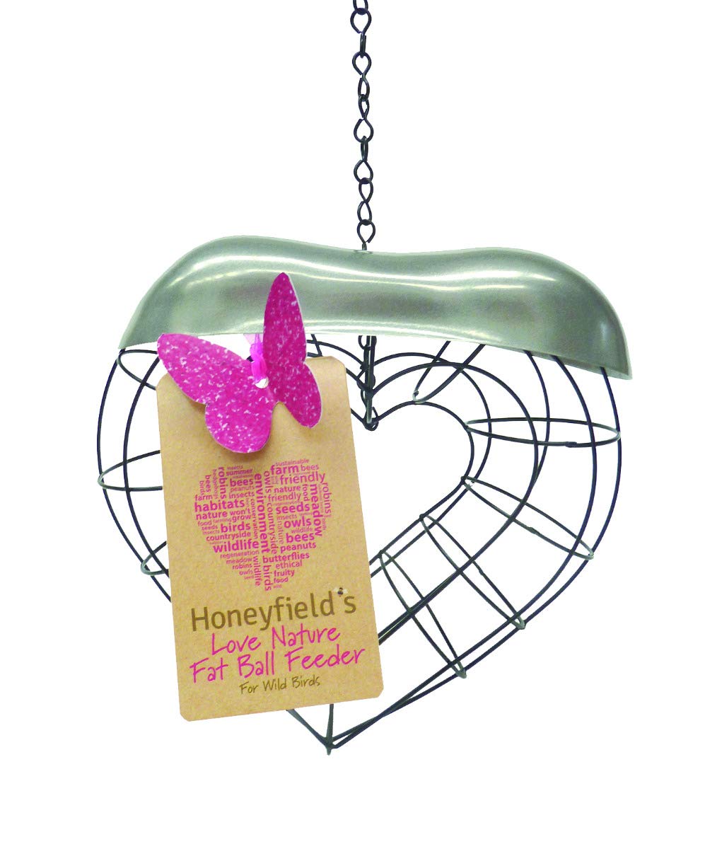 Honeyfields Wild Bird 'Love Nature' Fat Ball Suet Feeder, Heart Shaped, Black metal with a Decorative Stainless Steel lid, Easy to Hang & a great Gift for a Loved one