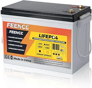 24V Lithium Battery 100AH Lifepo4 Battery Built-in 100A BMS,Specialized for 24V Trolling Motors,UP to 8000 Deep Cycle,Perfect for Boat,Solar System Storage