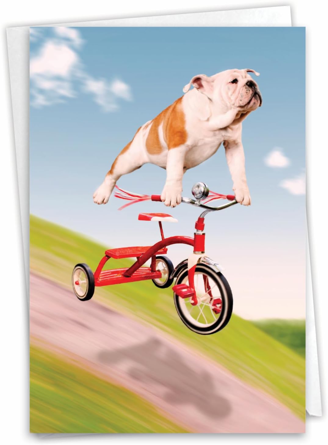 NobleWorks 1 Funny Birthday Cards for Nephew Dog on Trike Animal Humor Notecard with Envelope for Animal Lovers C3204BDG