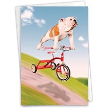 NobleWorks 1 Funny Birthday Cards for Nephew Dog on Trike Animal Humor Notecard with Envelope for Animal Lovers C3204BDG