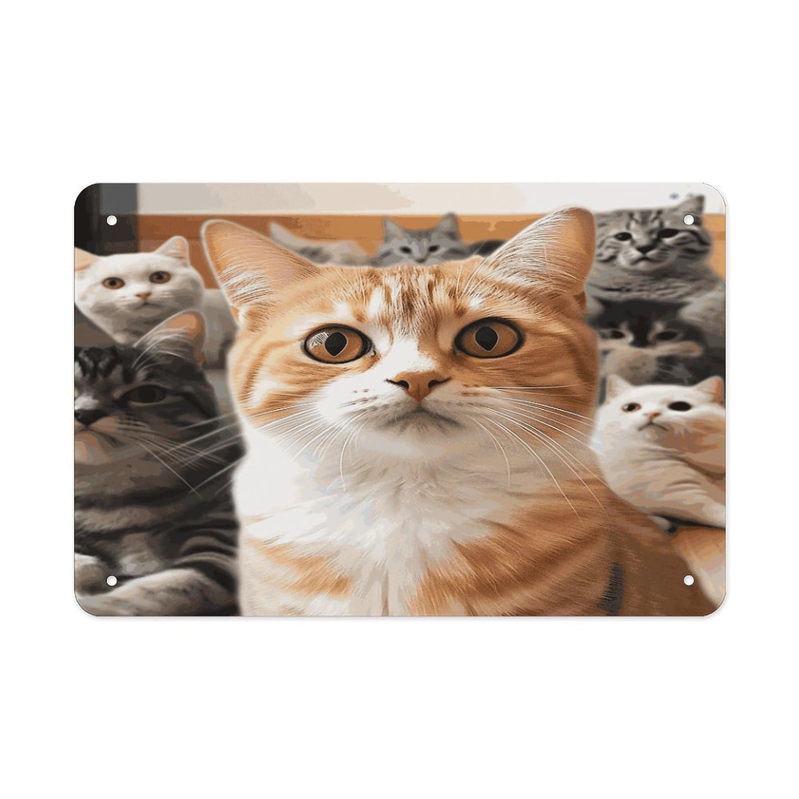 Fekiloot Style Funny Pet Cat Metal Signs Wall Art Tin Sign