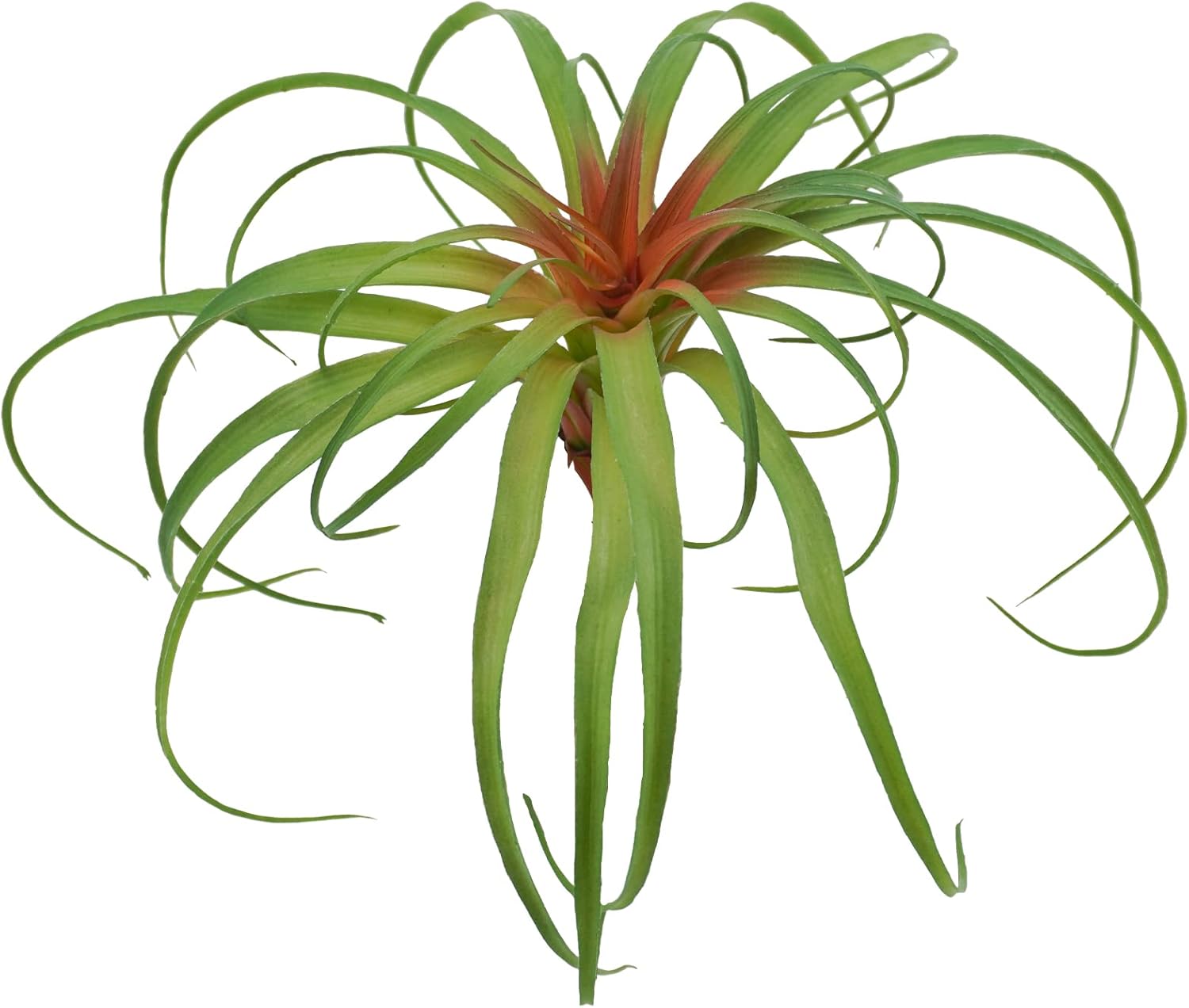 Agusbagli Succulents Plants Artificial, Large Fake