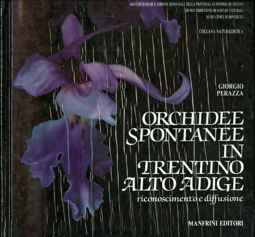 Orchidee spontanee in Trentino Alto Adige