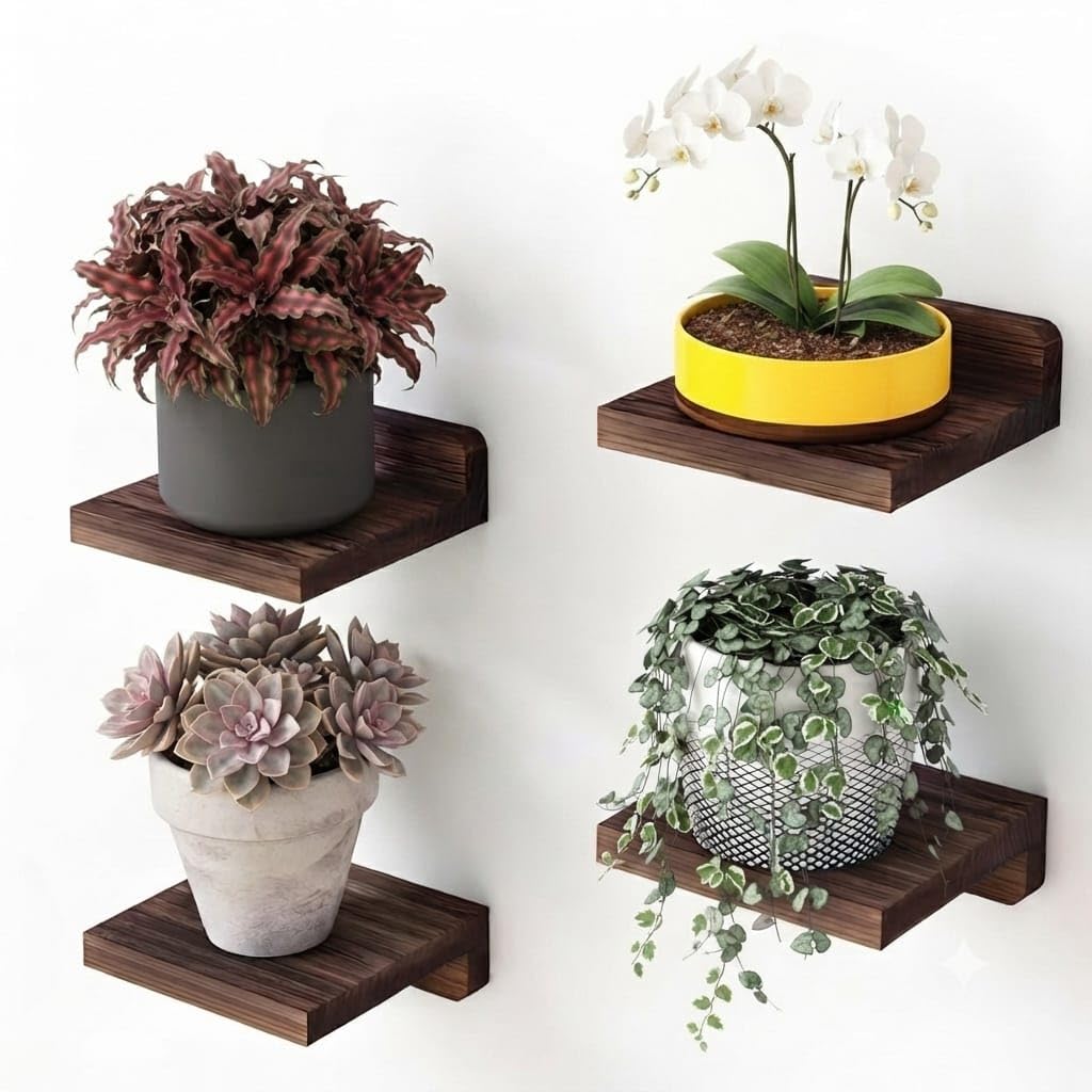 Floating Wall Shelves Set of 4, Rustic Wooden Wall Mounted Display Shelves for Plants, Succulents, Decor, Bathroom, Bedroom, Living Room & Kitchen, Dark Walnut Finish-image-26