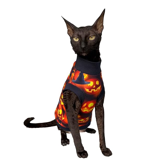 Foto 2 de 7 de Kotomoda Sphynx Cat'S T-Shirt Halloween (XS)