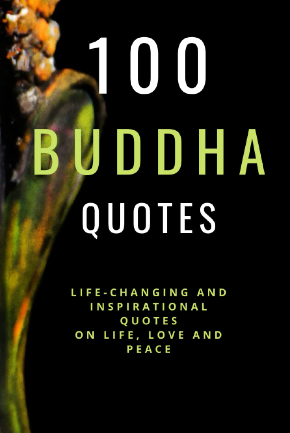 100 Buddha Quotes Life Changing And Inspirational Collection Of Quotes