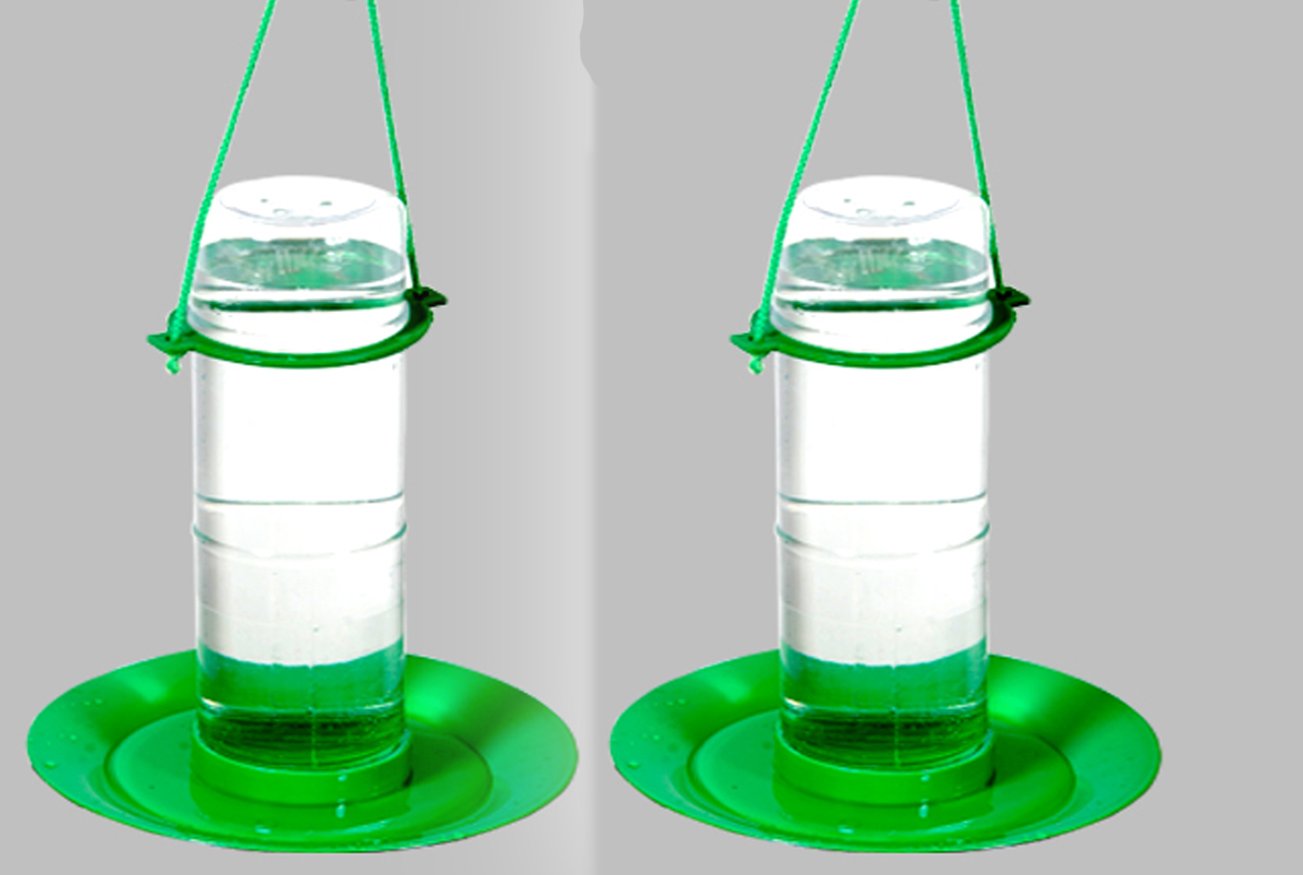 Amijivday Small Bird Water Feeder (500 ml) Pack of 2 (B074W68973) Amazon Price History, Amazon Price Tracker
