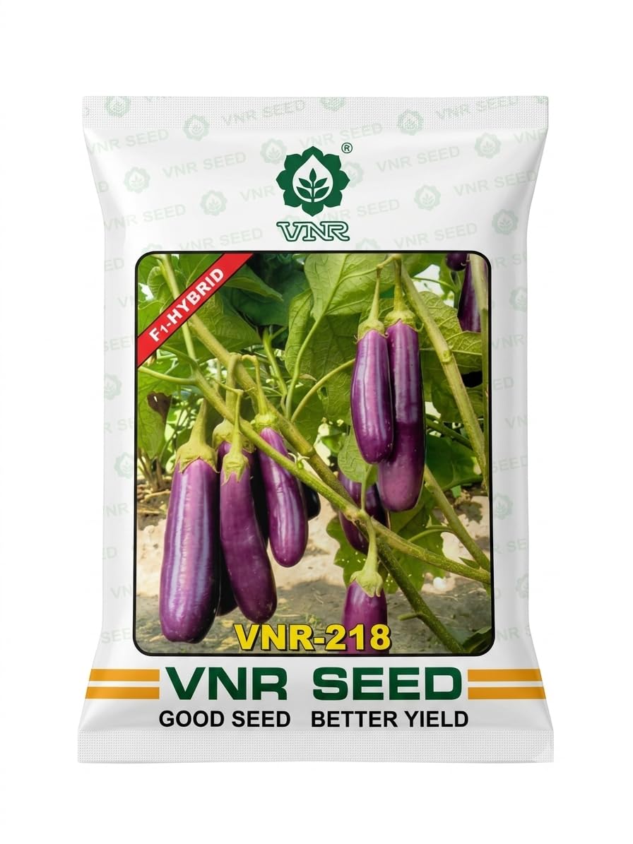 218 F1 Hybrid Brinjal Seeds 10g | F1-Hybrid Variety, Better Yield, Purple Long Type, 218 Model, Vegetable Seeds-image-12