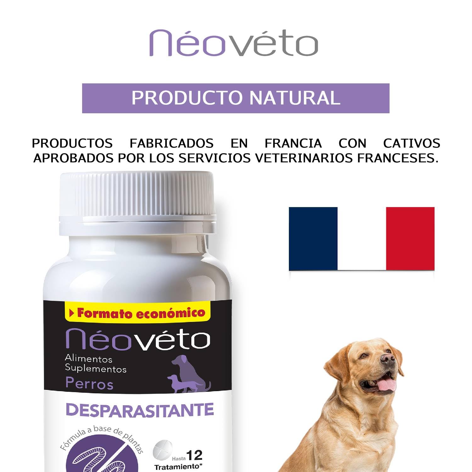 NEOVETO - Vermipurge - Vermifuge pour Chien en comprimés naturels - Actifs agréés par Les Services Vétérinaires Français - Fabriqué en France - Facile à administrer - 30 comprimés (Version espagnole)