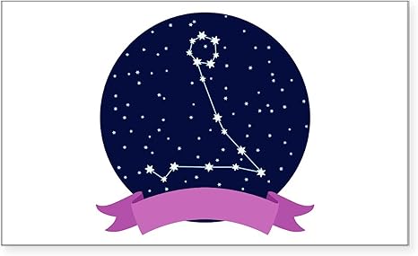 CafePress Constellation Pisces Sticker Rectangle Bumper Sticker Car Decal