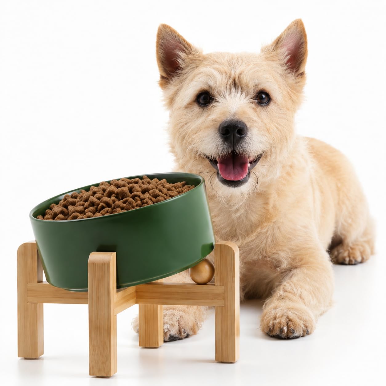 Petygooing Raised 15° Slanted Ceramic Bowl — Rust Green