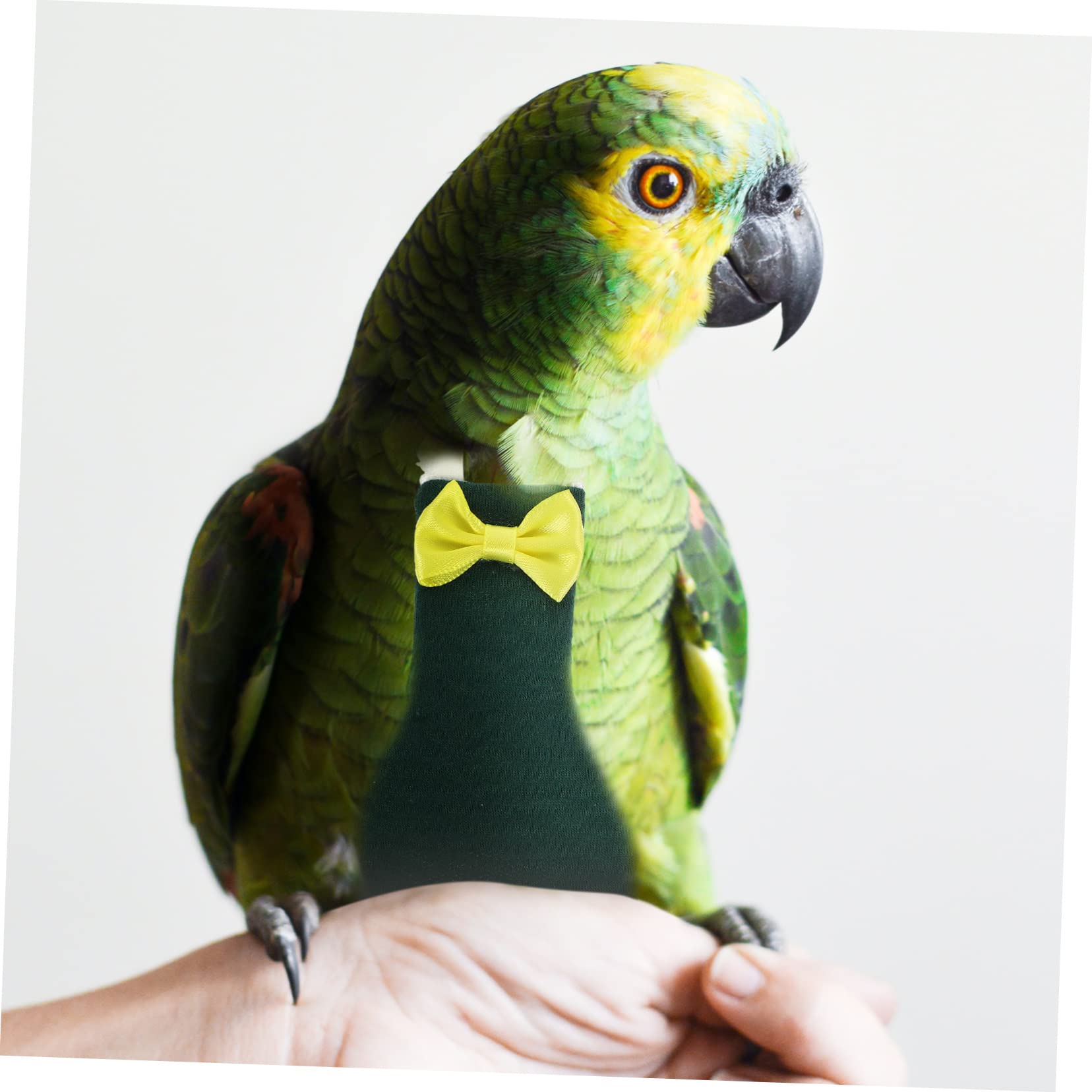 BESPORTBLE 5piezas Pañal Reutilizable para Aves Pequeñas Traje De Vuelo Decorativo para Periquitos y Loros Ropa Lavable para Uso Interior y Exterior