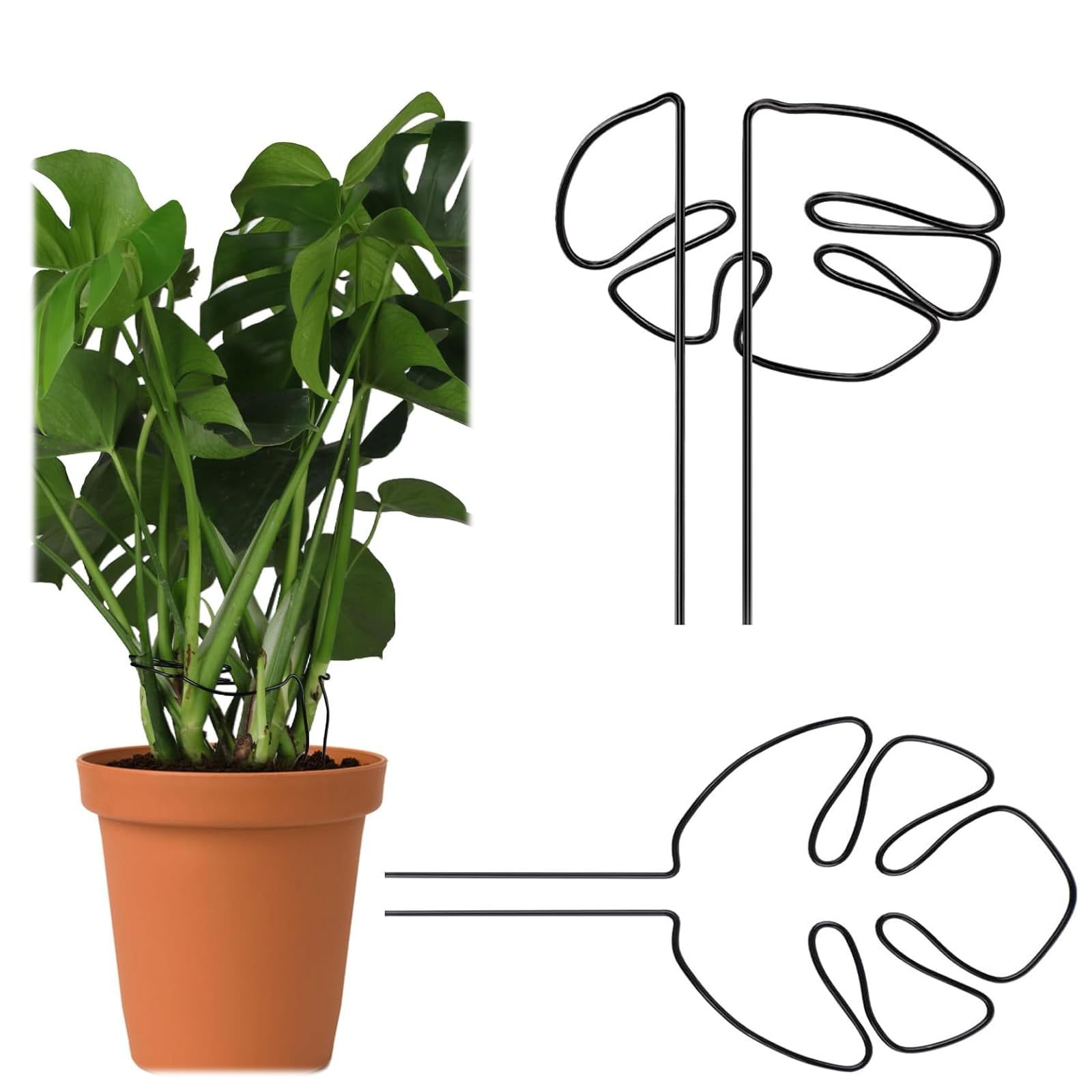 2 Stck Pflanzensttze Monstera Blatt, Pflanzensttze Im Blattdesign, fr  Gedeihendes Pflanzenwachstum Fr Zimmerpflanzen, Alocasia Und Monstera,  Dekorative Untersttzung (Schwarz) : Amazon.de: Garten