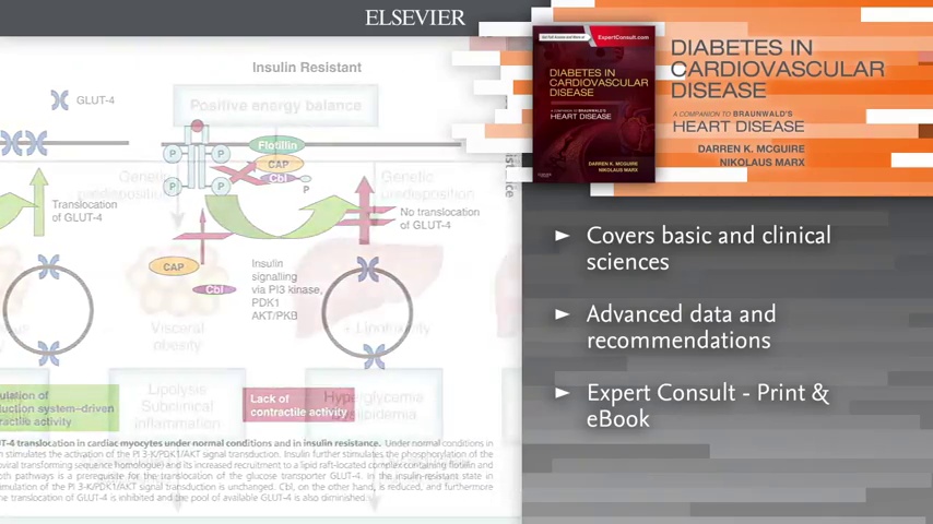 語学+参考書 Cardio-Renal Diabetes Vol.3No. Diabetes in Cardiovascular Disease: A Companion to Braunwald's