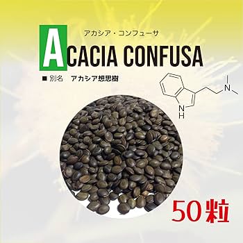 Acacia Confusa 種子 25粒+ Acacia confusa | 'Formosa Wattle' | Seeds - Freaky Cacti