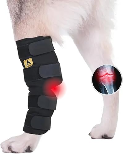 Miniatura 8 de AGON El soporte canino para perro protege las heridas mientras curan, la envoltura de compresión, cura y previene lesiones y esguinces ayuda con la