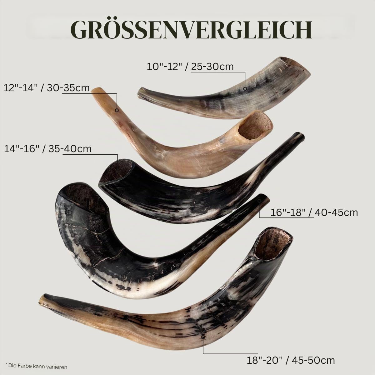Schofar: Authentischer und koscherer polierter Ramhorn-Schofar aus Israel (30,5 cm – 35,6 cm)