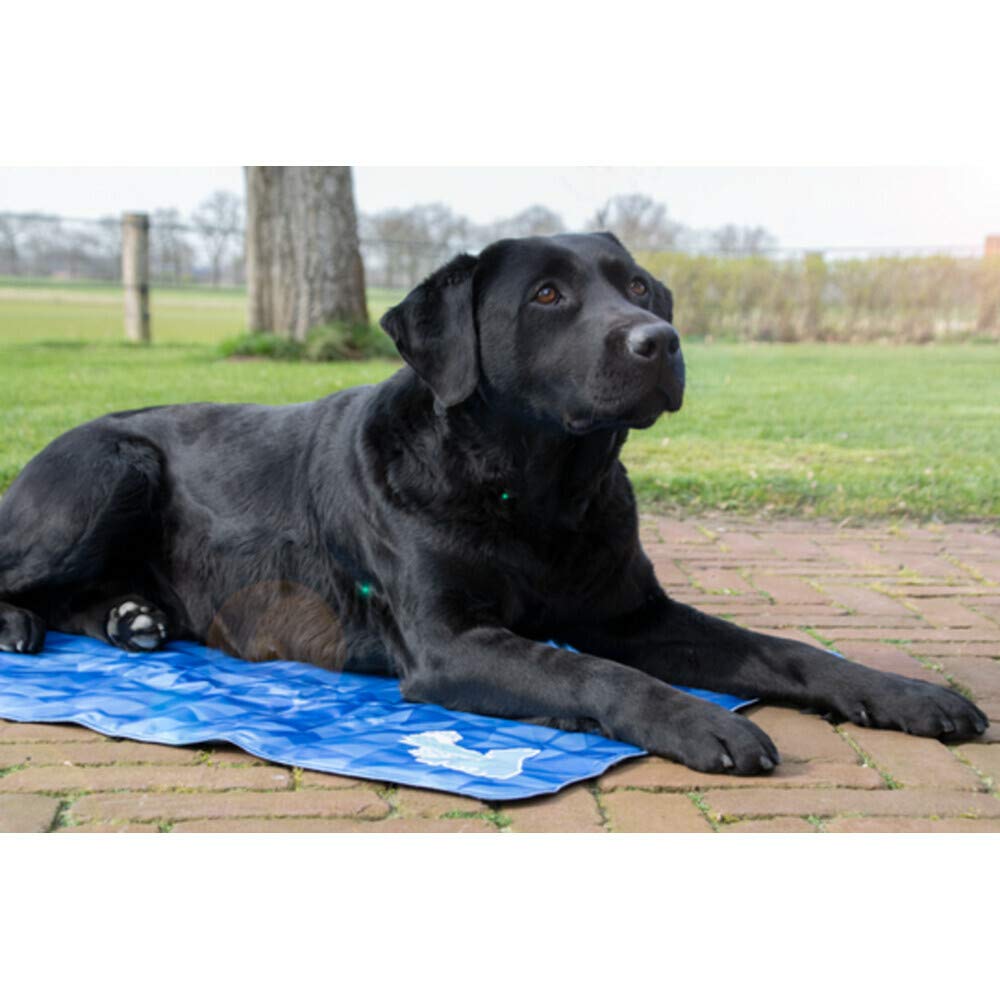 CoolPets Anti-Slip Cover – Speciaal Ontwikkeld Voor De Koelmatten Van Coolpets 120x75cm Xl Grijs Fleece