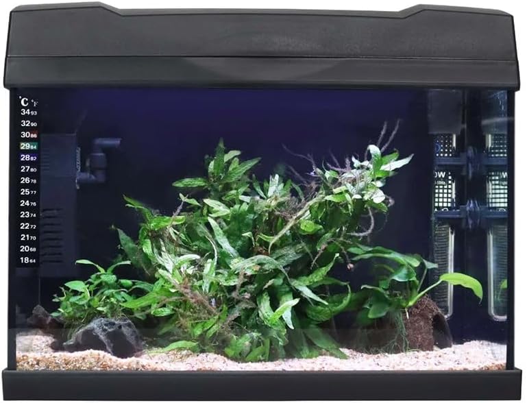 Aquarium 40cm Tropical Freshwater LED Fish Tank Kit 19ltrs