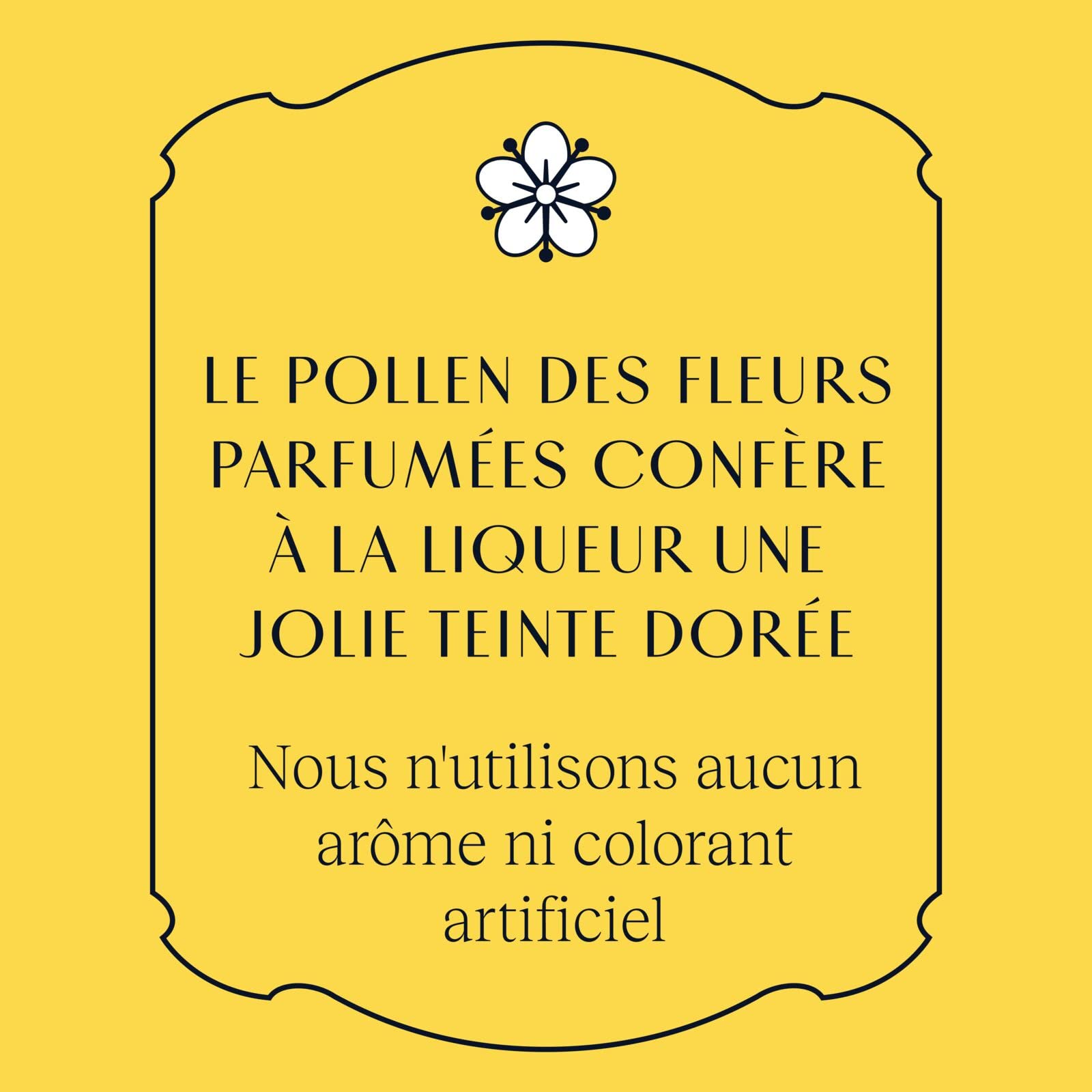 St-Germain Liqueur Française élaborée aux fleurs de sureau, 20 % vol., 70 cl/700 ml, fraîchement cueillies à la main, sans arômes artificiels
