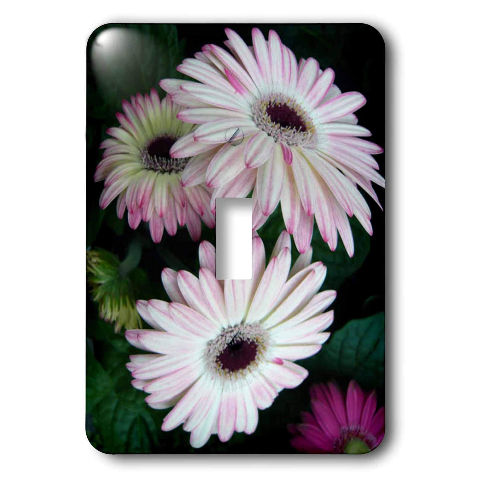 Interrupteur à bascule unique Gerber Daisies multicolore 3dRose lsp_6265_1 déco murale chambre