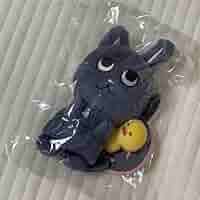 RIIZE 40cm DOLL ウォンビン　トニャンドク RIIZE ぬいぐるみ ウォンビン トニャンドク 公式 - メルカリ
