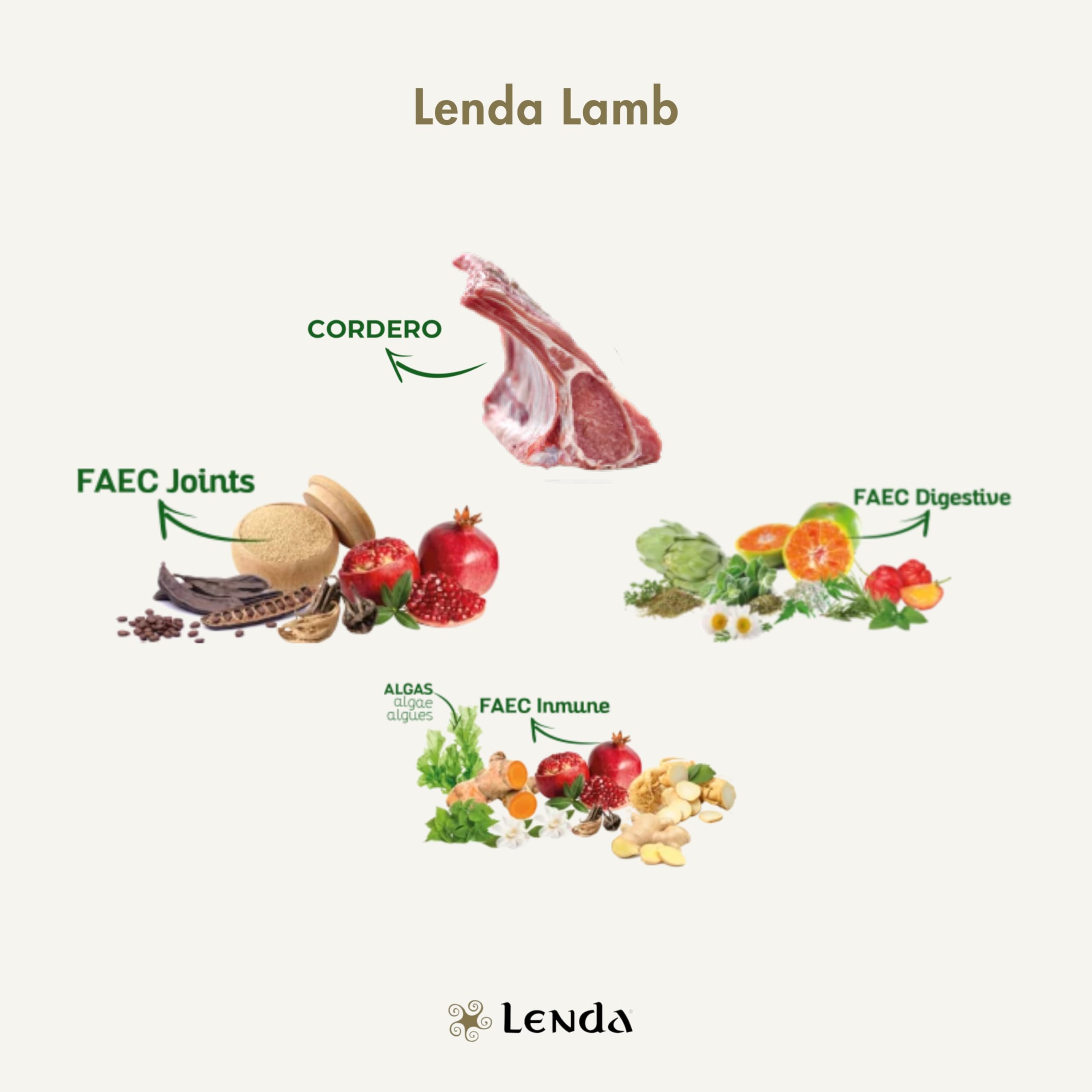Lenda Lamm 6 kg – Trockenfutter Hund Adult reich an Lamm mit Lachsöl und Chondroprotektoren – Hundefutter Alle Rassen – Natürliches Trockenfutter
