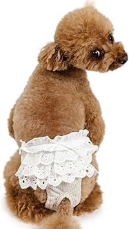 ri★　ペットパラダイス➖サイズ4S ペットパラダイス くまちゃん 顔 リード付きハーネス 4S/3S