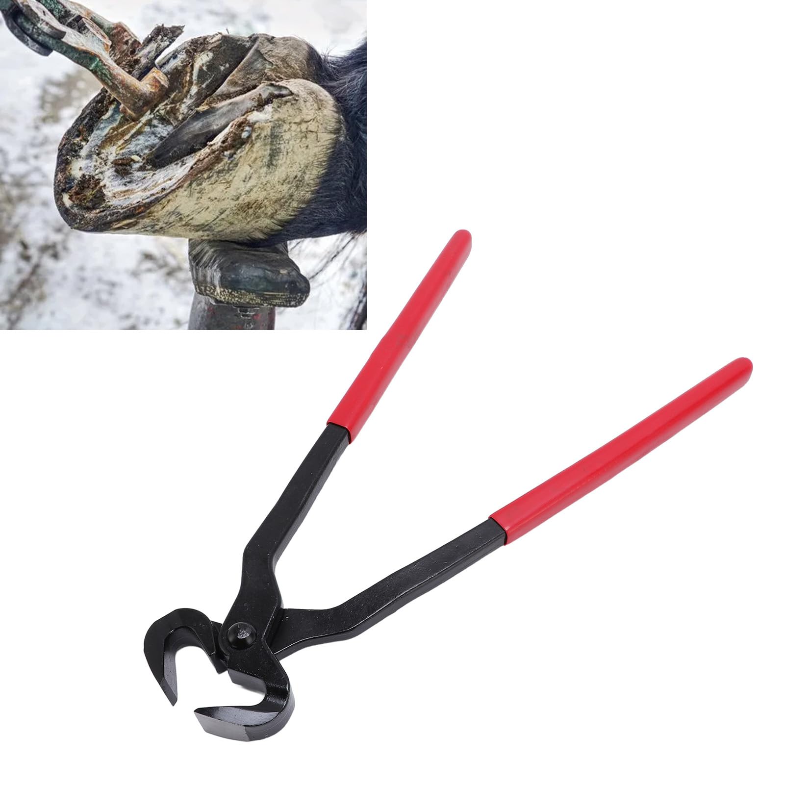 Generic Obcinacz do Kopyt Farrier Wytrzymały Silikonowy Uchwyt Obcinacz do Kopyt Konia dla Właścicieli Klubów Konnych