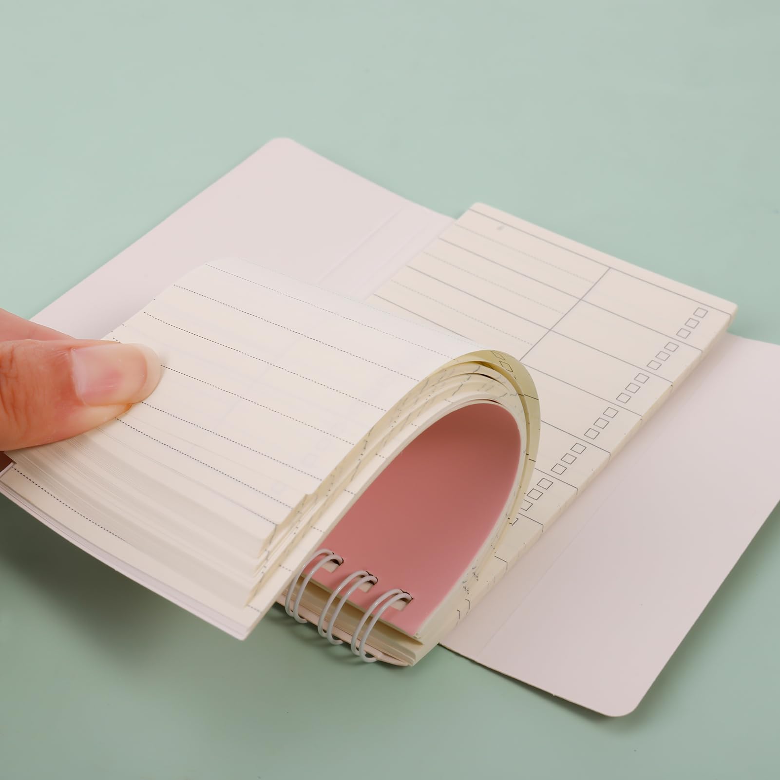 Amazon.co.jp: Paresthesia 単語帳 暗記カード 単語カード 4色 遮る