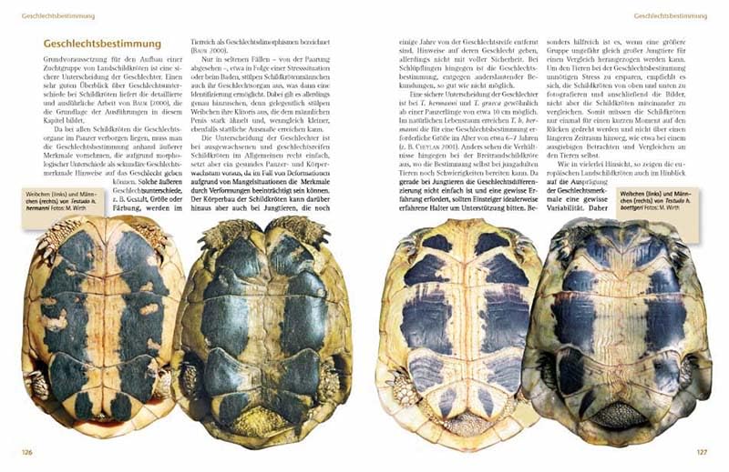 Das Schildkrötenjahr: Freilandbiologie und Haltung europäischer Landschildkröten über den Jahresverlauf (Terrarien-Bibliothek)